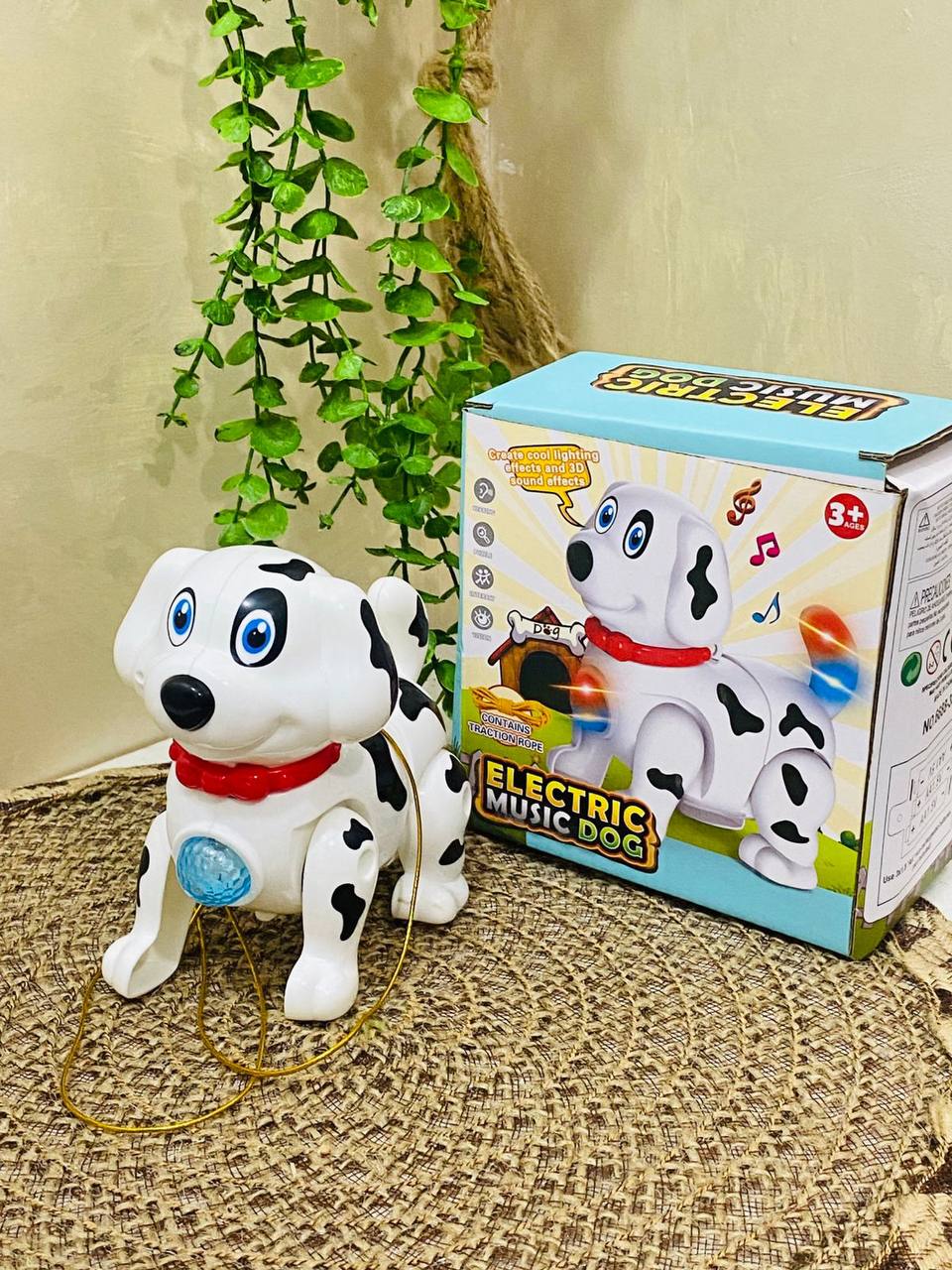 photo_5877337813580188636_y